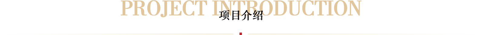 項(xiàng)目介紹